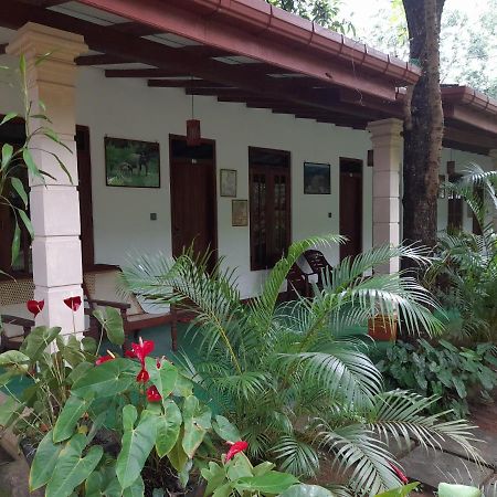 Sigiri Jungle Villa シギリヤ エクステリア 写真