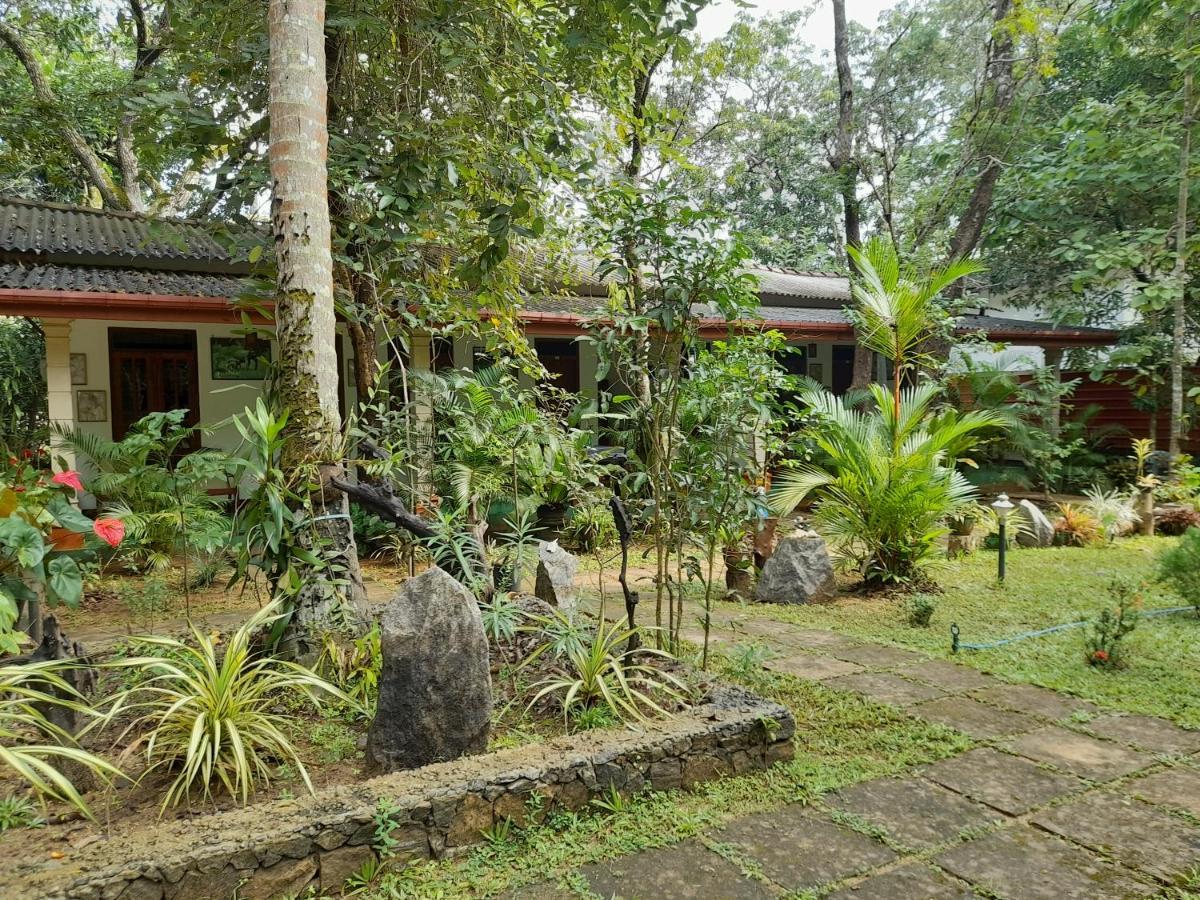 Sigiri Jungle Villa シギリヤ エクステリア 写真