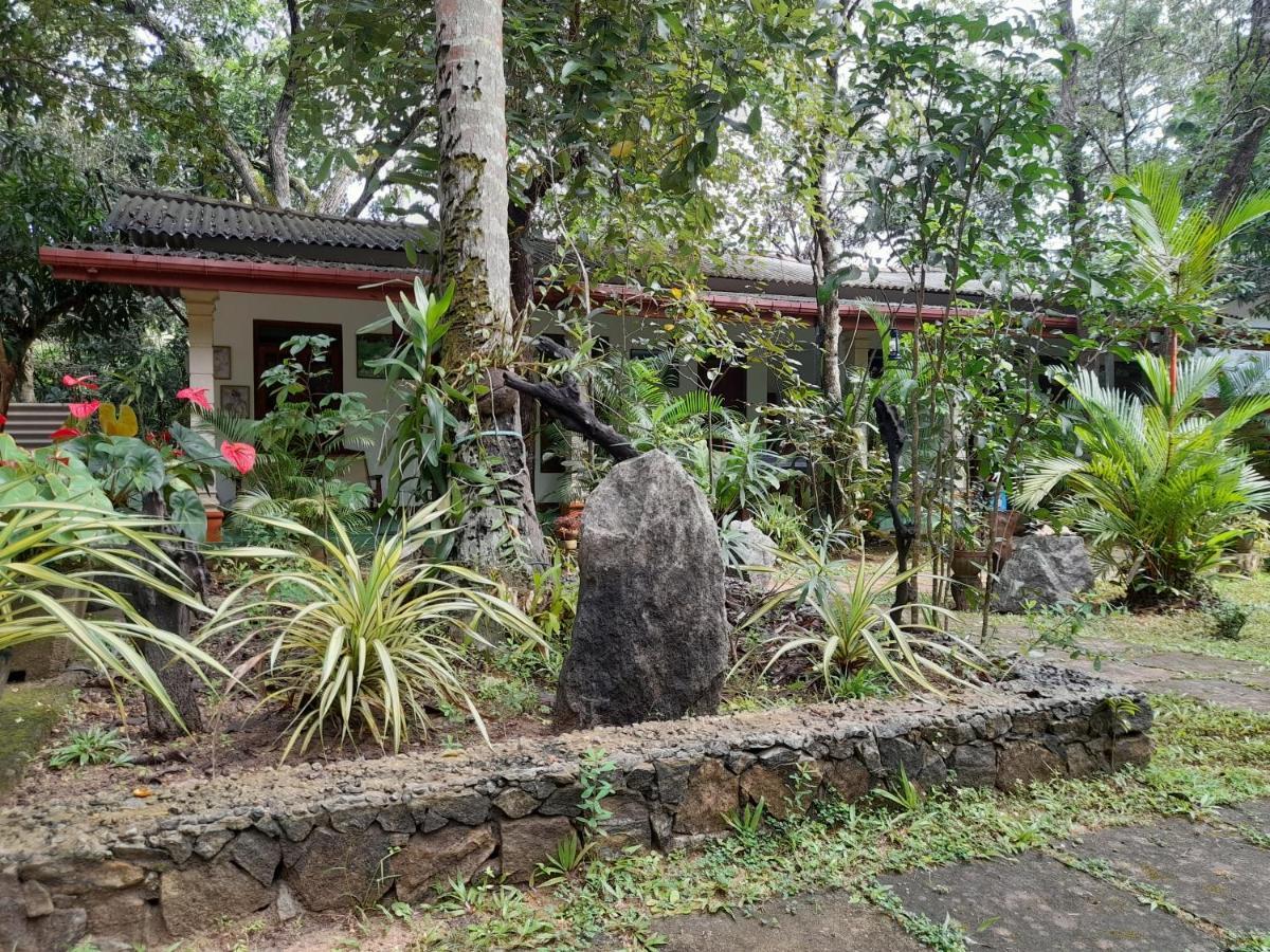 Sigiri Jungle Villa シギリヤ エクステリア 写真