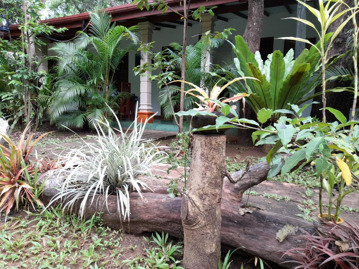 Sigiri Jungle Villa シギリヤ エクステリア 写真