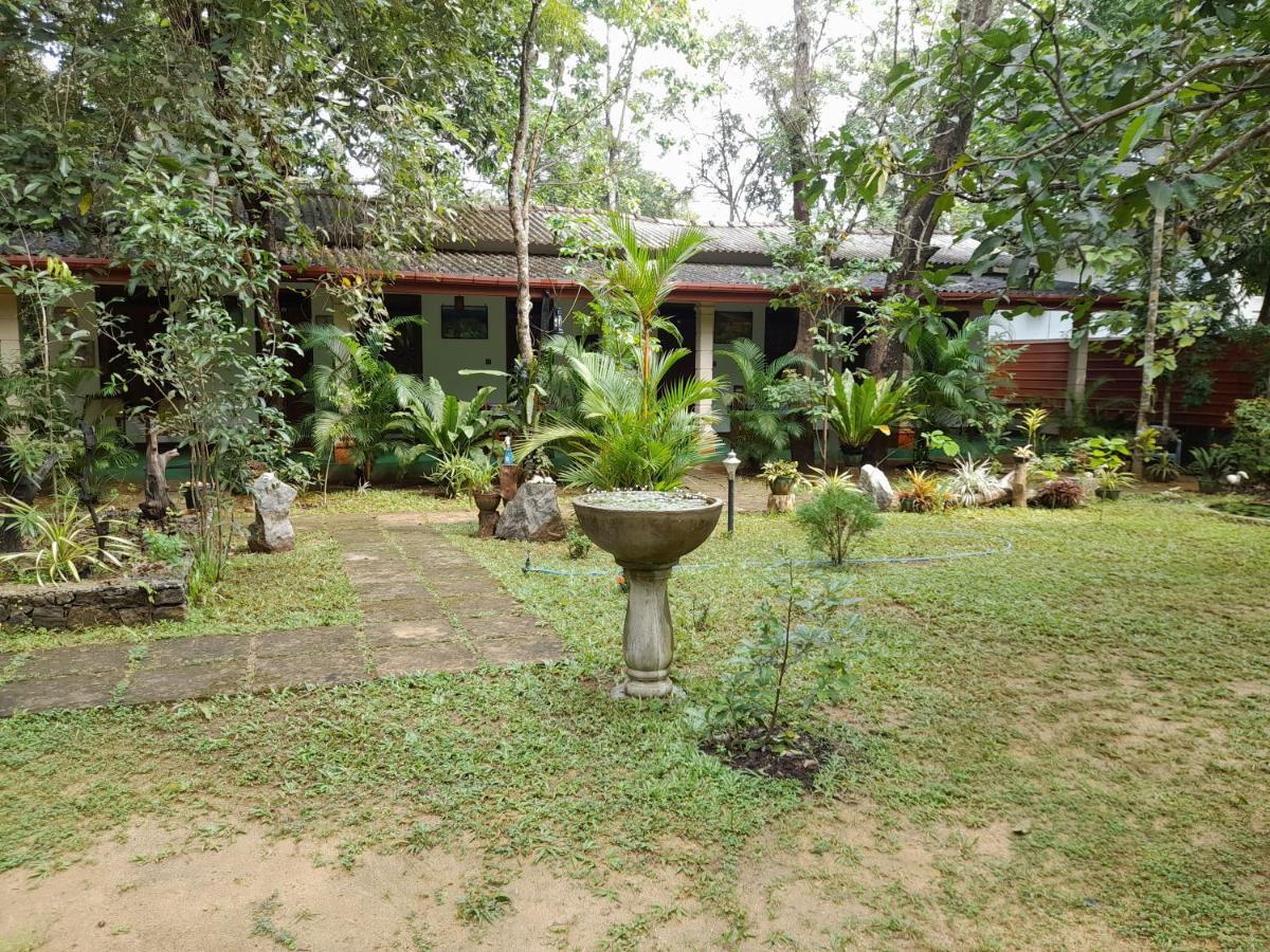 Sigiri Jungle Villa シギリヤ エクステリア 写真